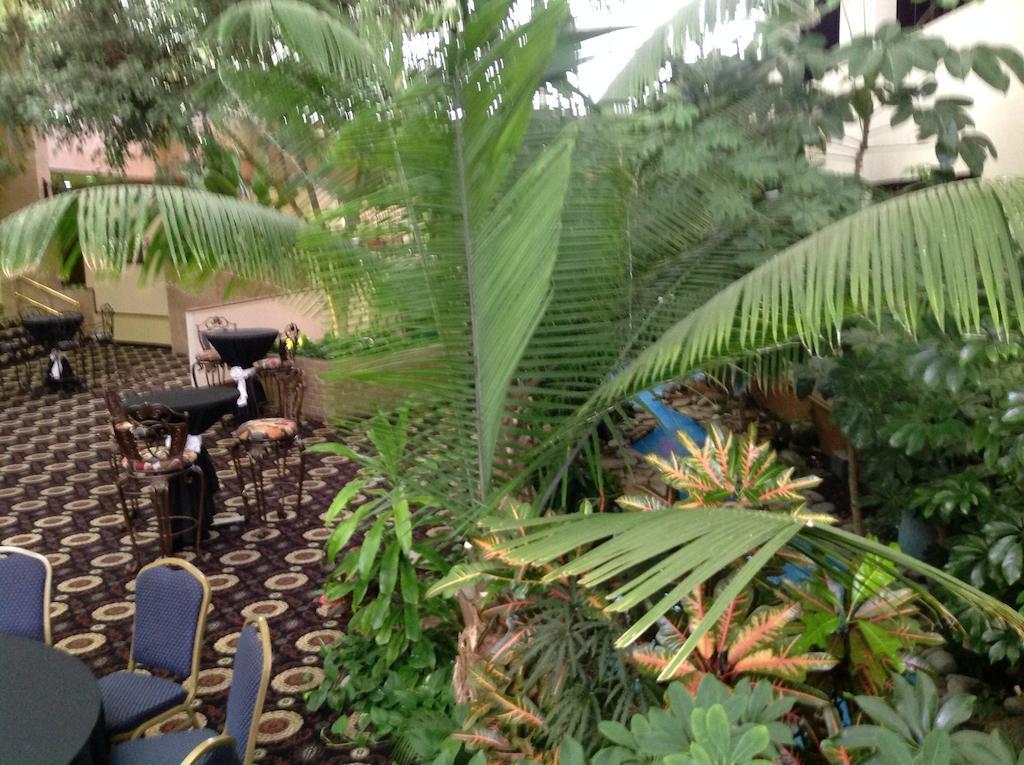 Wyndham Garden Amarillo Hotel Ngoại thất bức ảnh