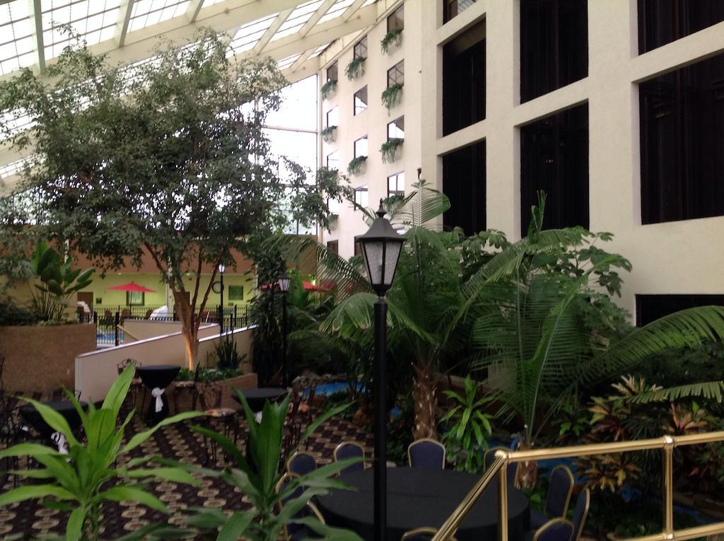 Wyndham Garden Amarillo Hotel Ngoại thất bức ảnh
